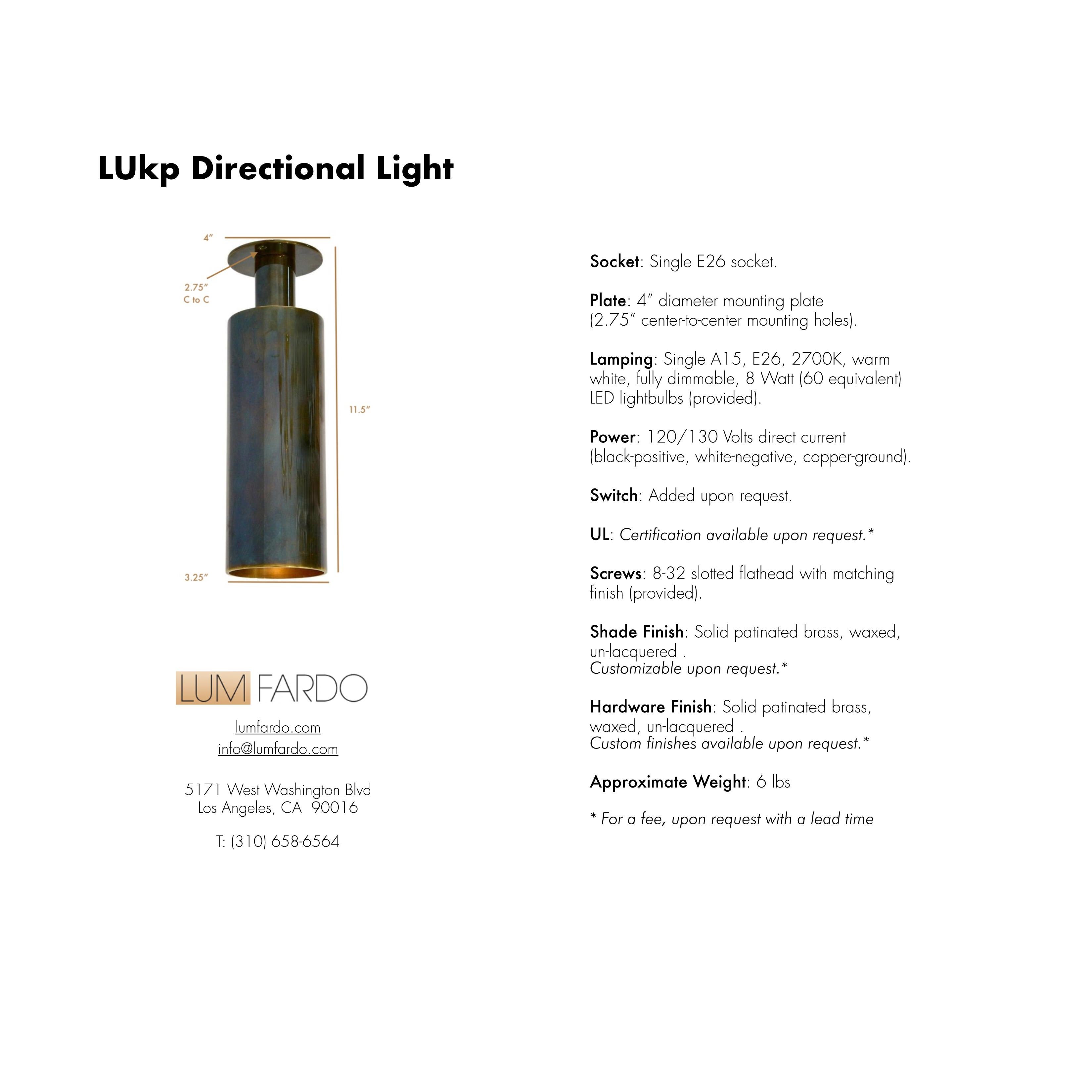 LUkp Directional Light For Sale 2