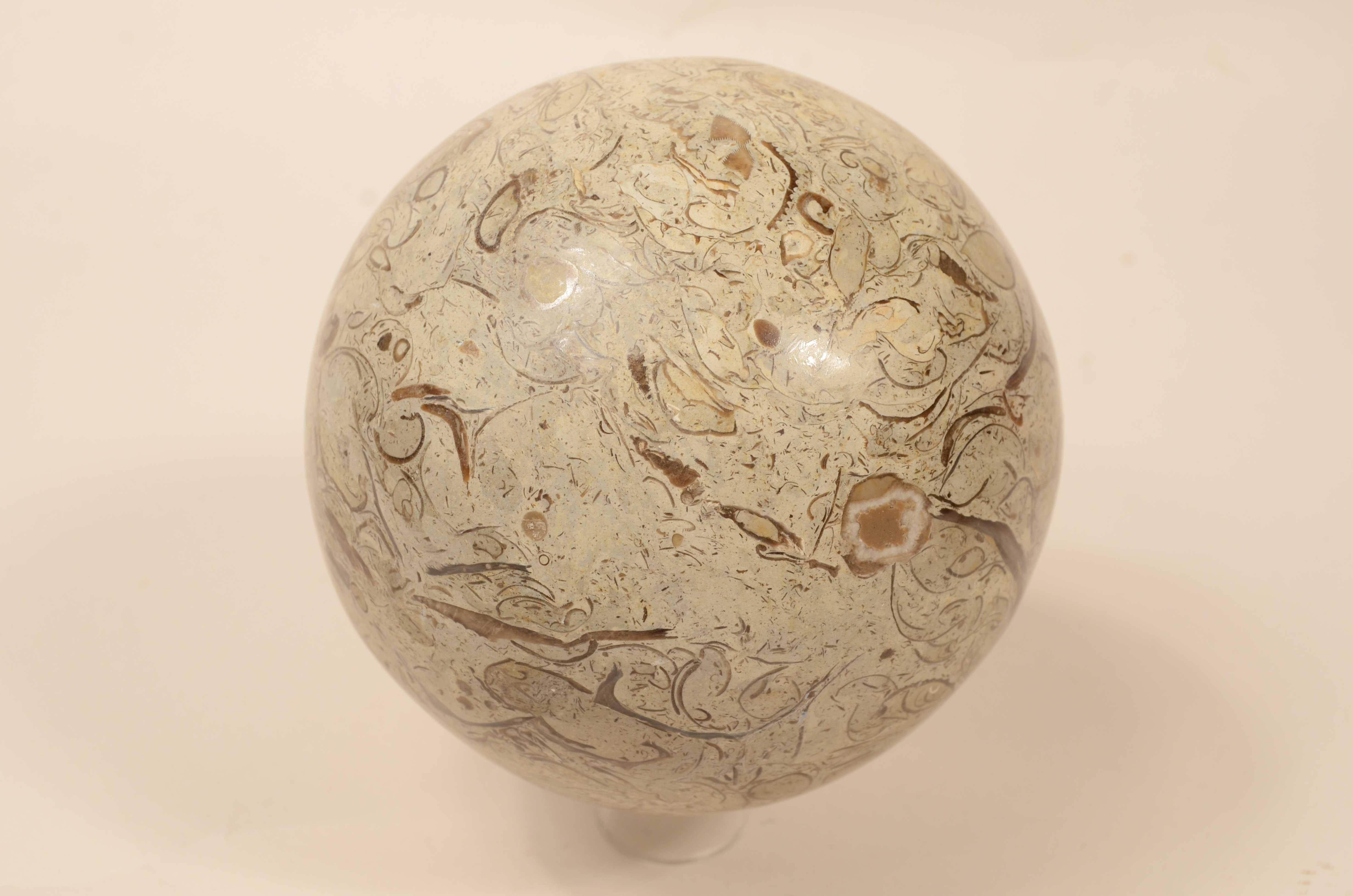 Snail sphere of limestone rock with rich and valuable fossil presence For Sale 5