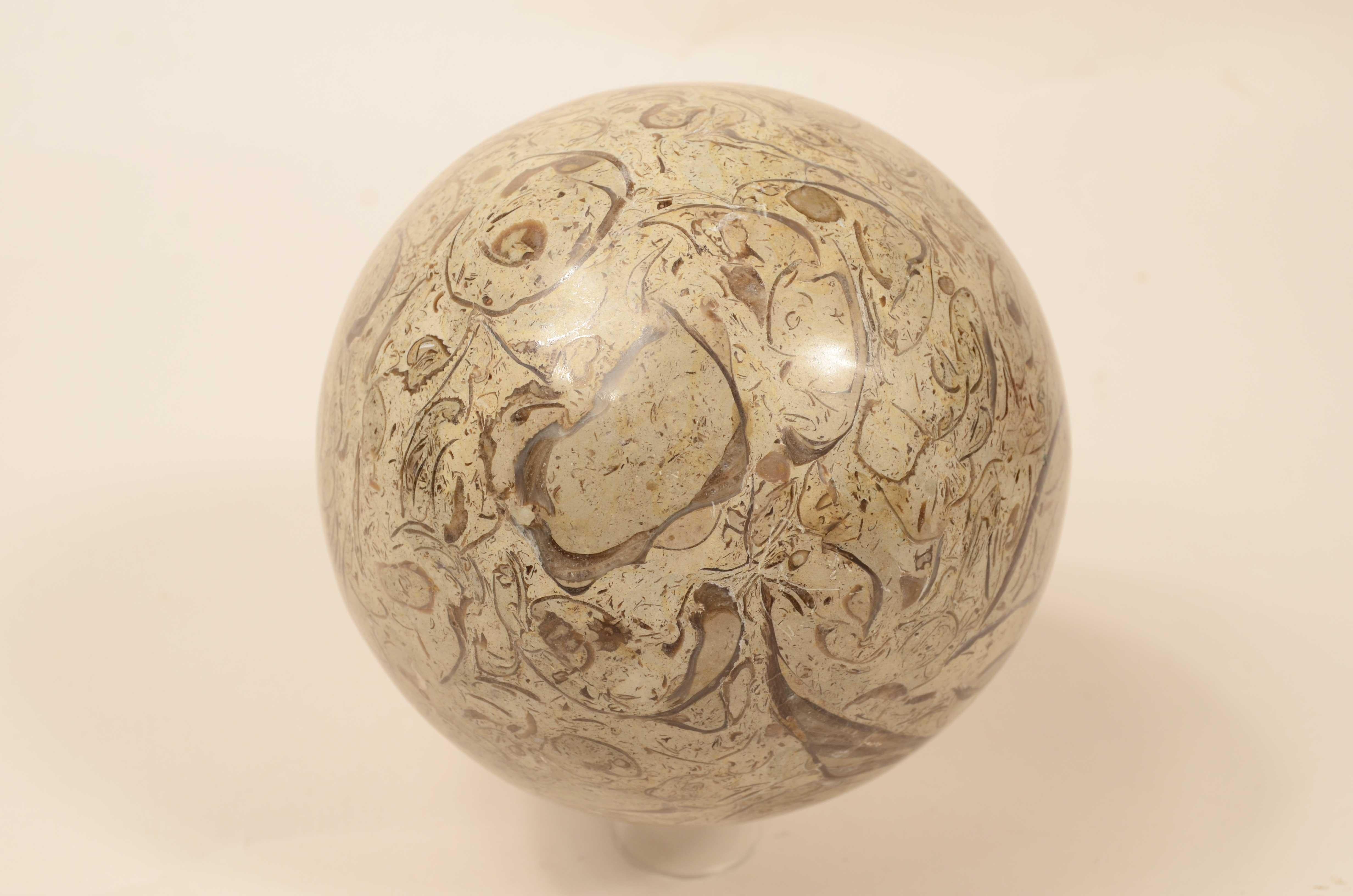 Snail sphere of limestone rock with rich and valuable fossil presence For Sale 6