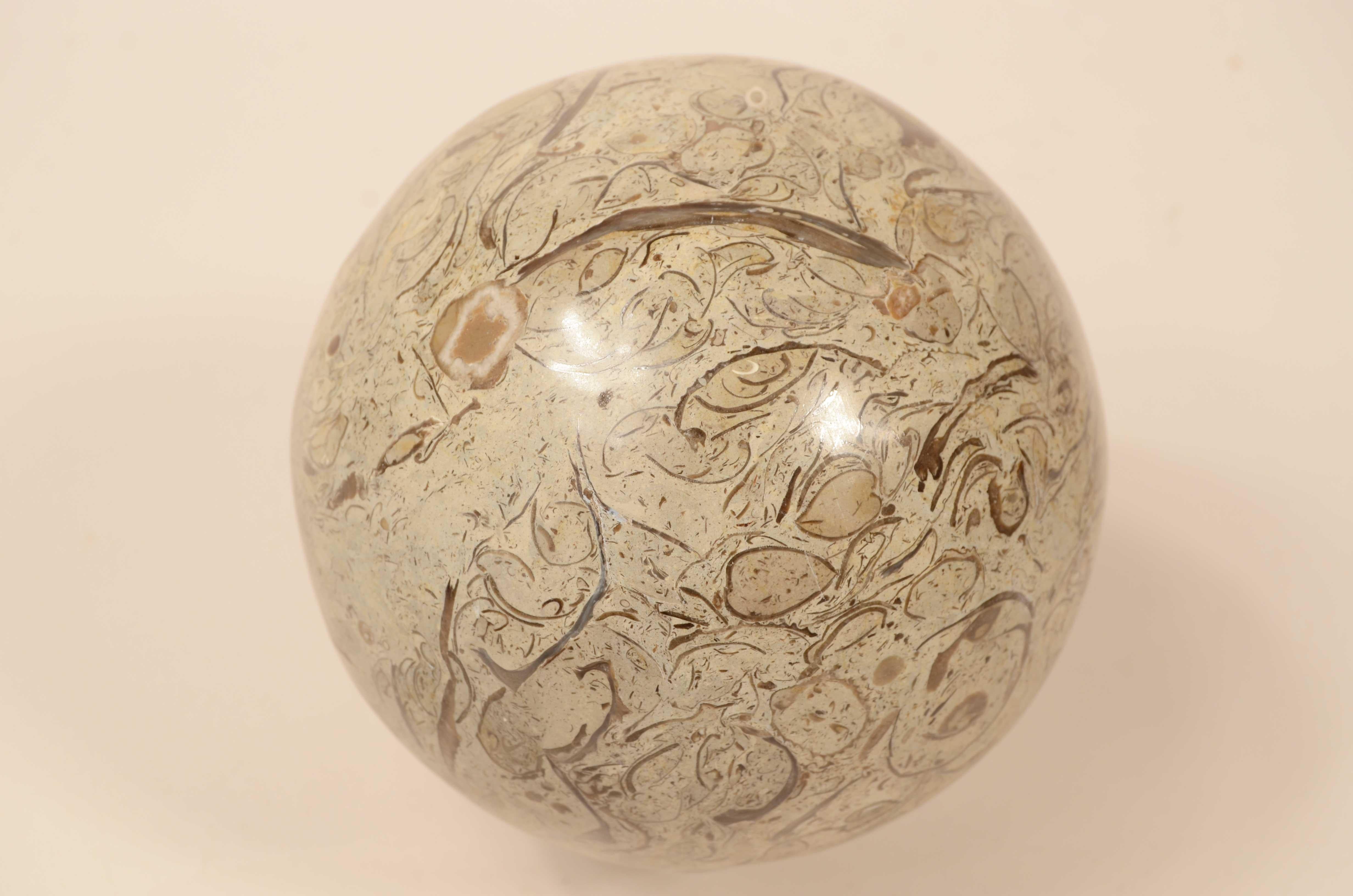 Limestone sphere  called Lumachella from the characteristic precious and rich presence of  fossils.
Slugs originate from sedimentation  of organic remains of shells, ammonites  and plant organisms. 
Diameter 12.5 cm - 5 inch
The name Lumachella was