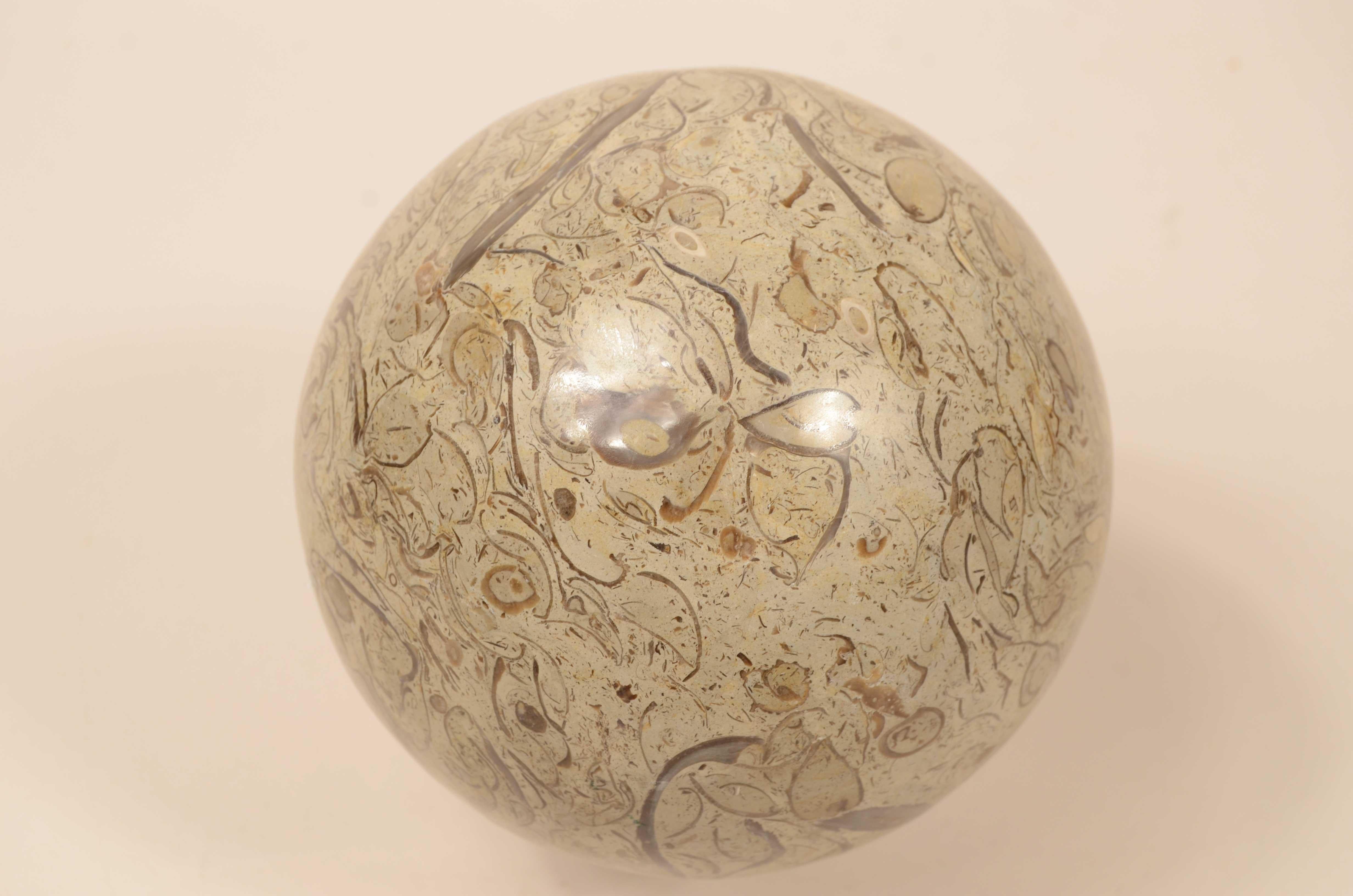 Snail sphere of limestone rock with rich and valuable fossil presence In Good Condition For Sale In Milan, IT