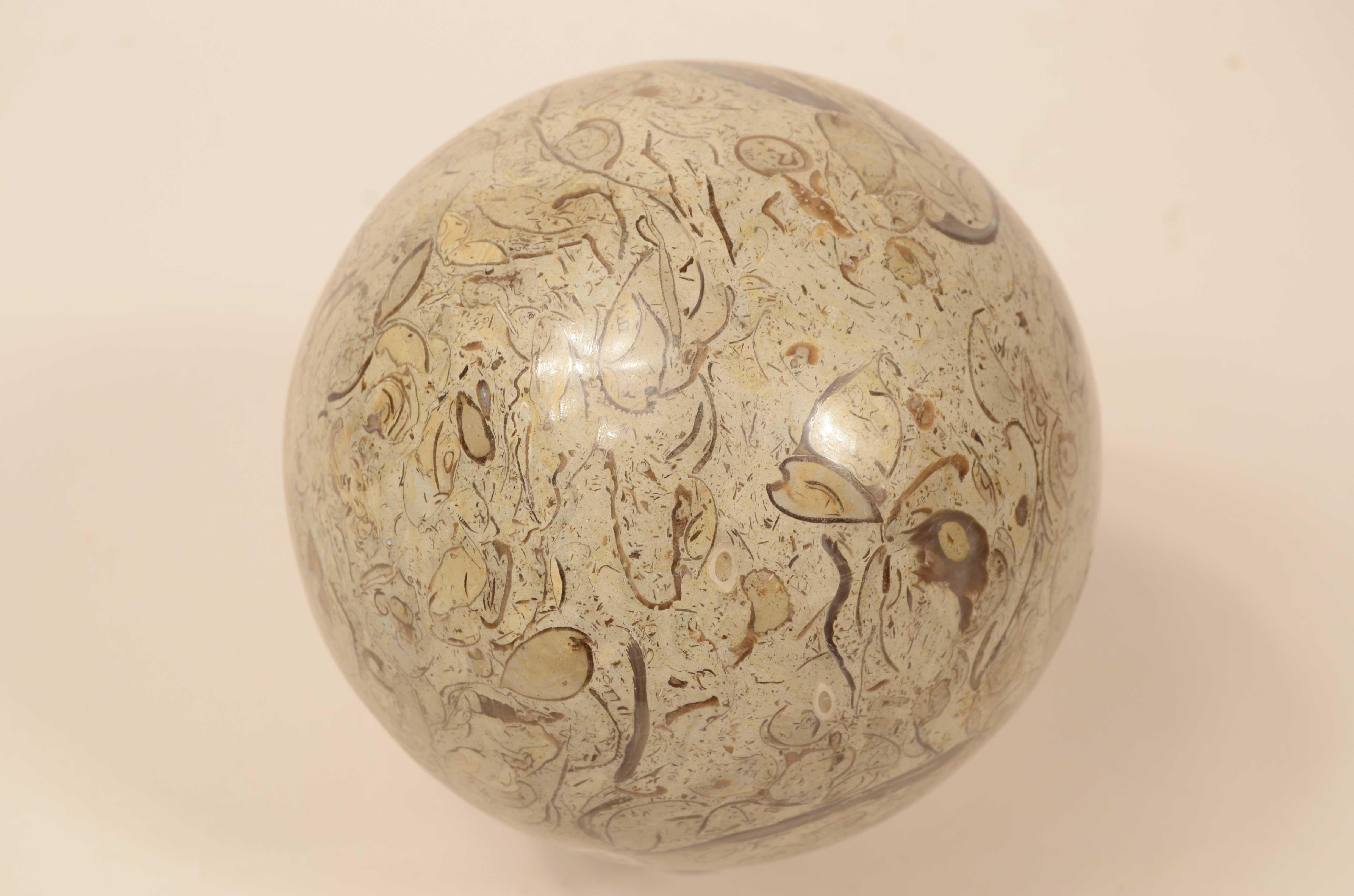 Mid-20th Century Snail sphere of limestone rock with rich and valuable fossil presence For Sale