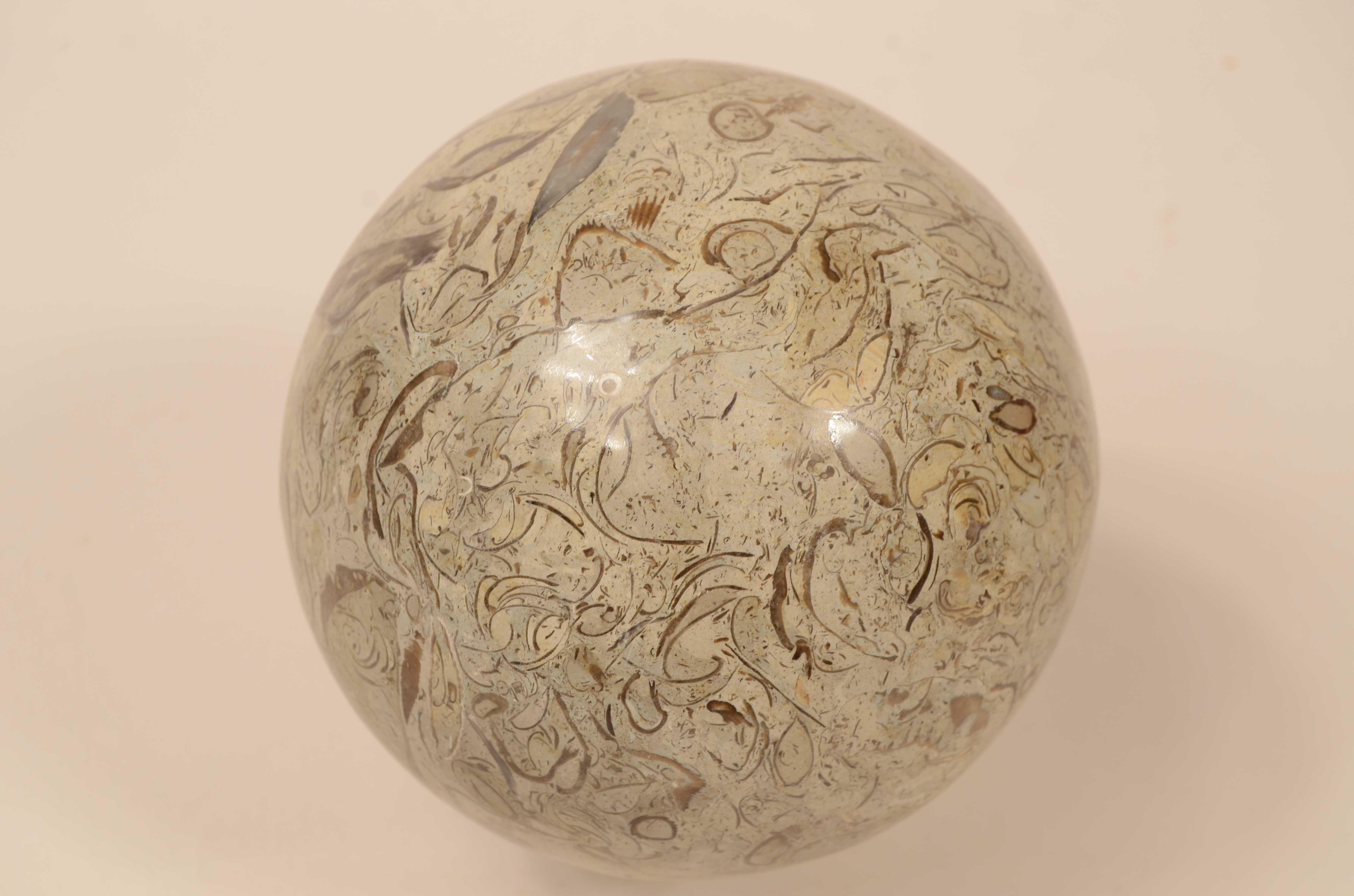 Marble Snail sphere of limestone rock with rich and valuable fossil presence For Sale