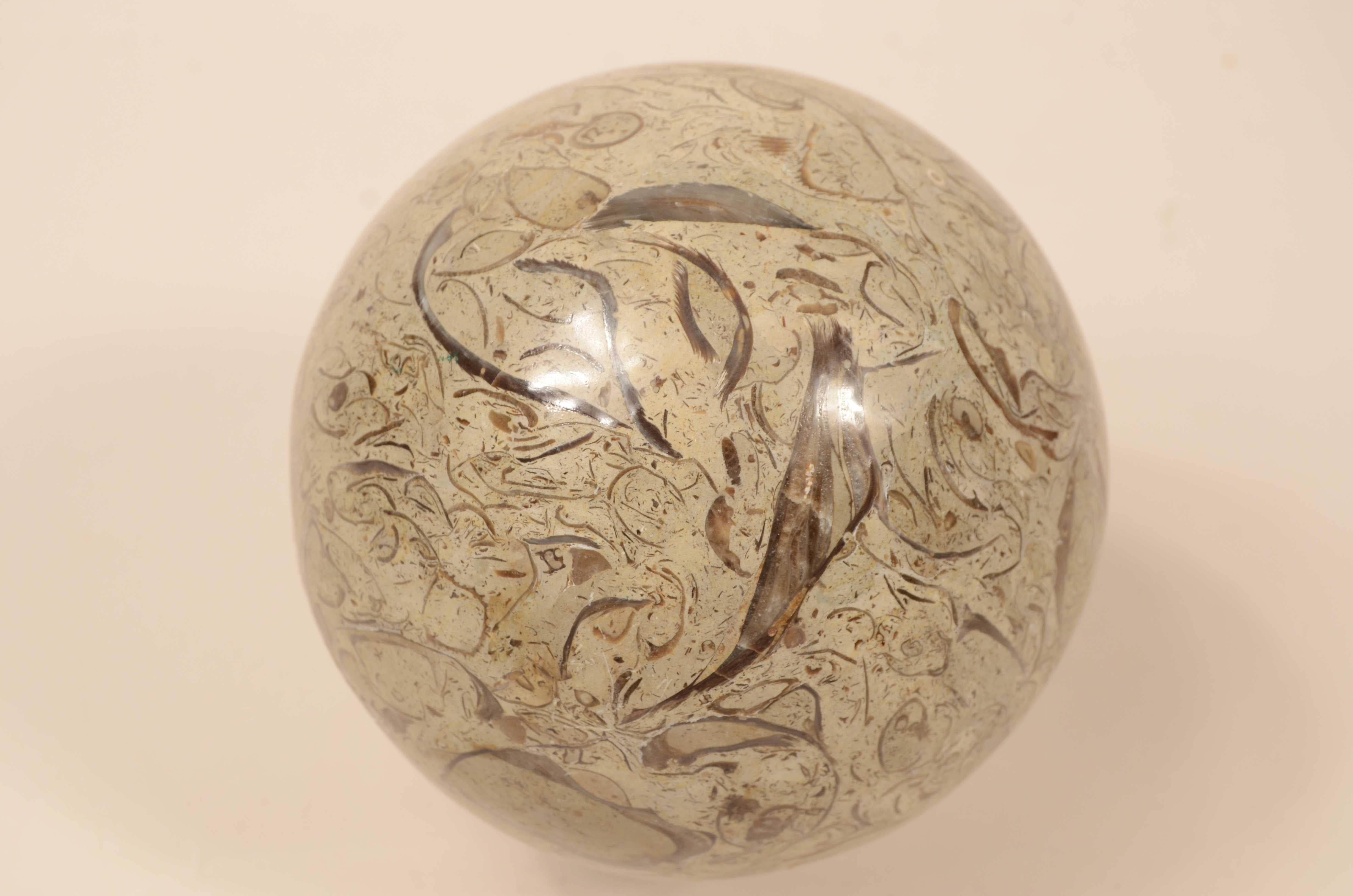 Snail sphere of limestone rock with rich and valuable fossil presence For Sale 1