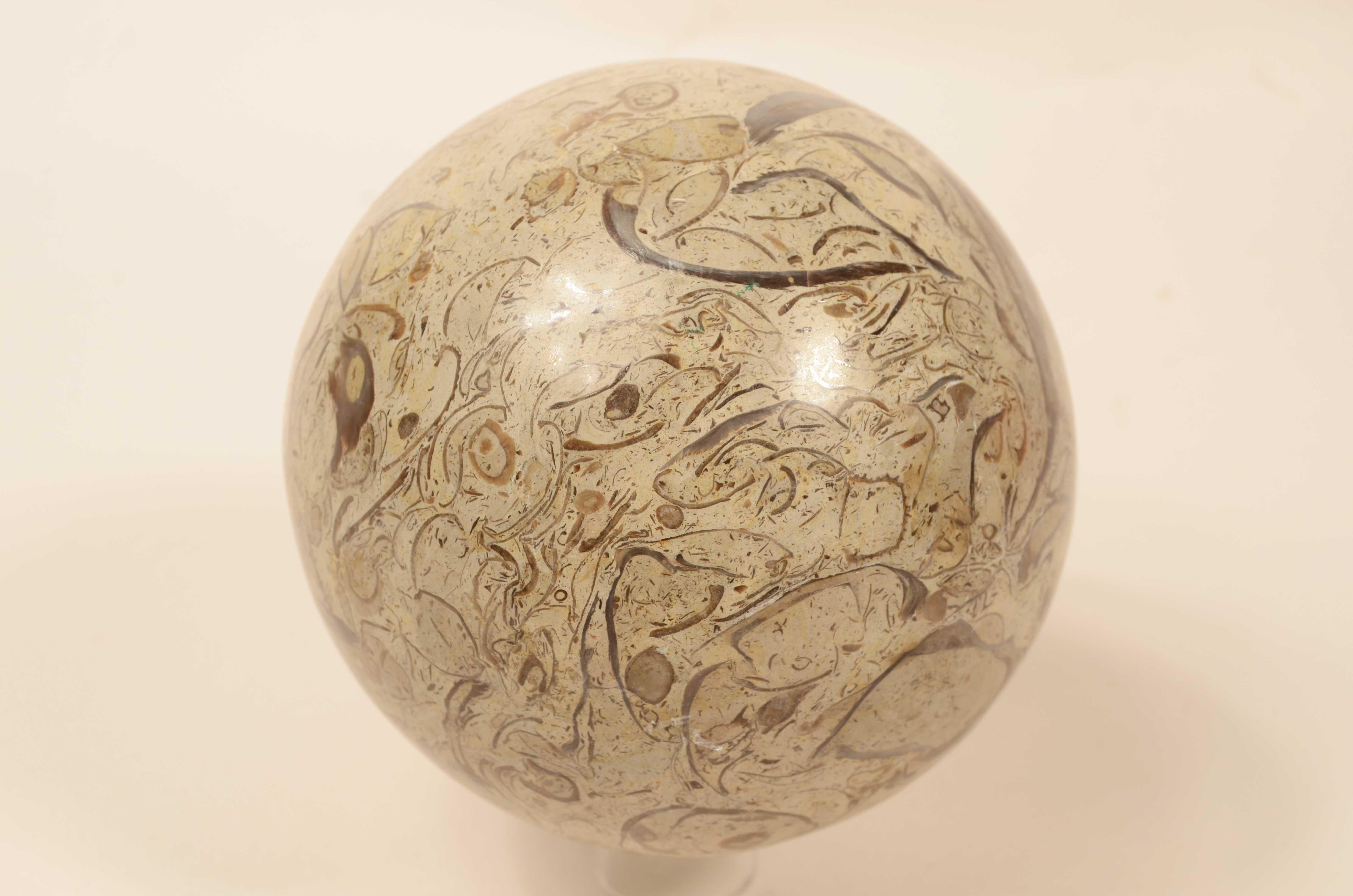 Snail sphere of limestone rock with rich and valuable fossil presence For Sale 2