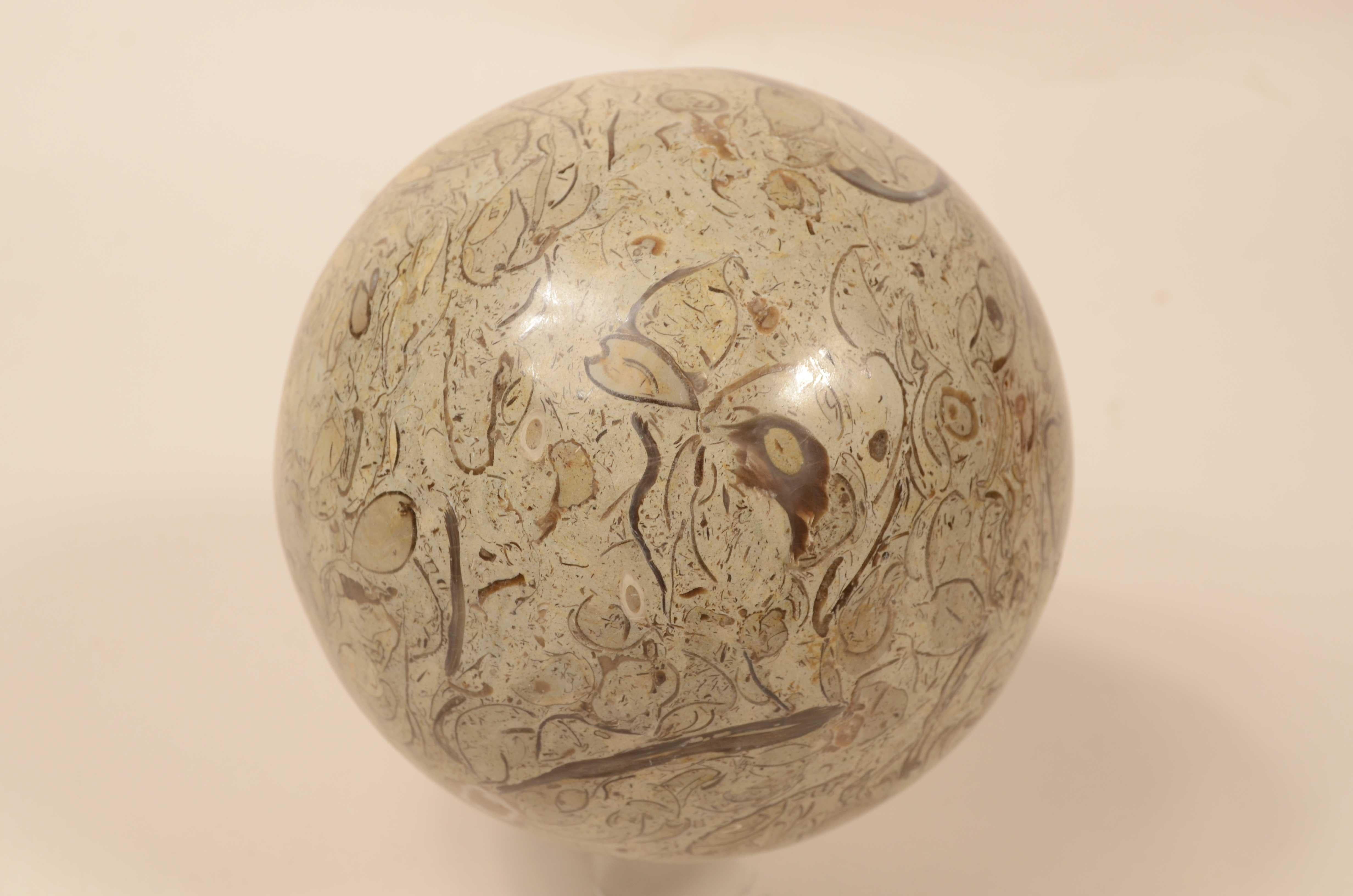 Snail sphere of limestone rock with rich and valuable fossil presence For Sale 3