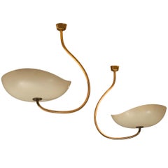 Lumen Organic Chandeliers in Brass with Cream Enameled Aluminum Shades 1950s