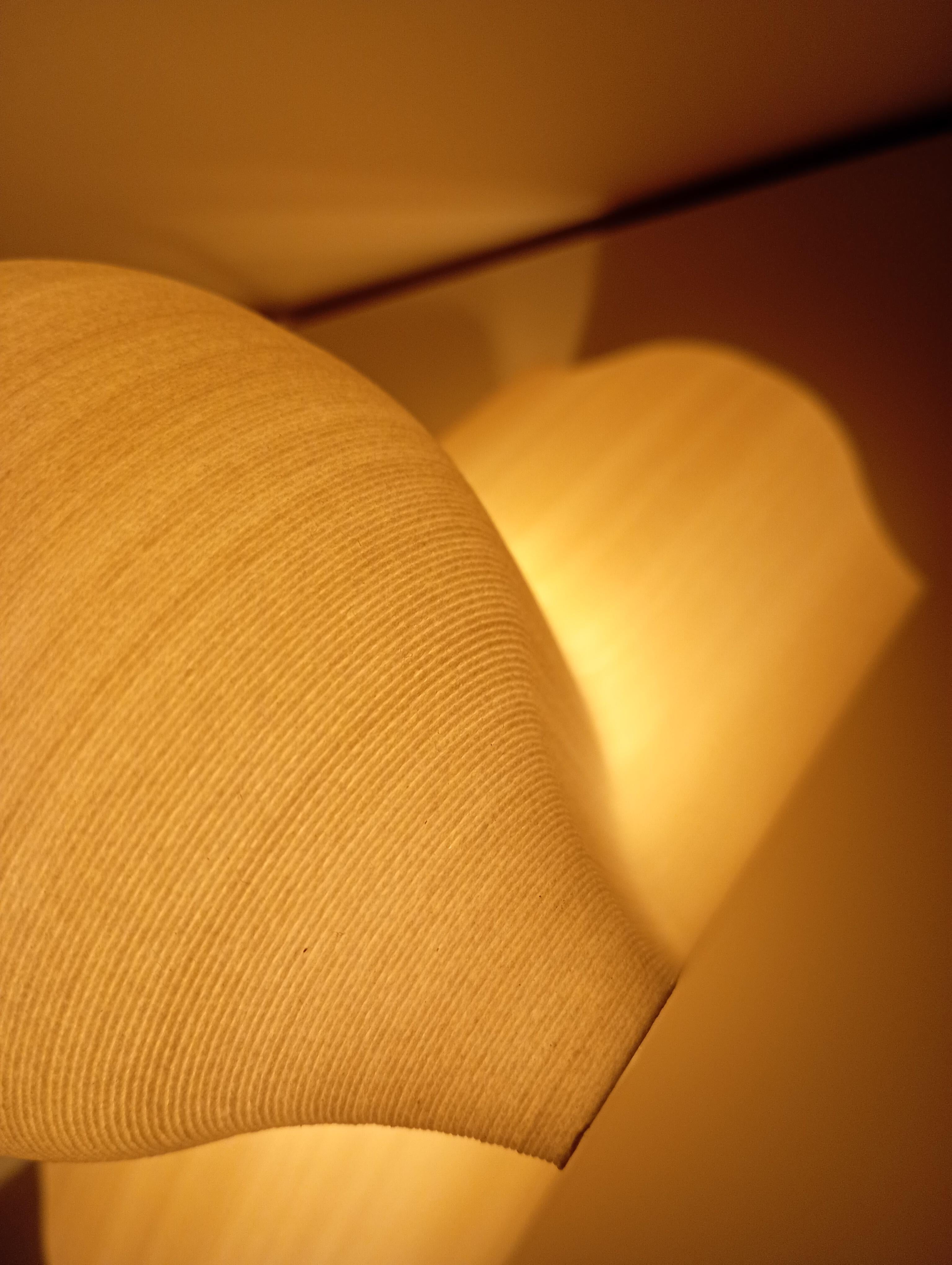 XXIe siècle et contemporain Lumen S/ Birch en vente