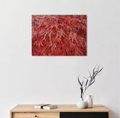 Morning Dew by Lumi Mizutani - Japanese painting, nature, plant, red, gold leaf