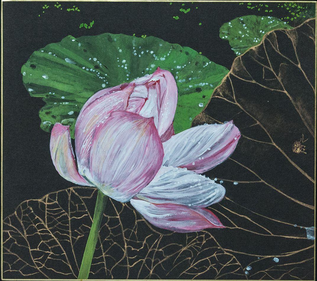 Night Lotus by Lumi Mizutani - Japanese style painting, flowers, flora, pink For Sale 1