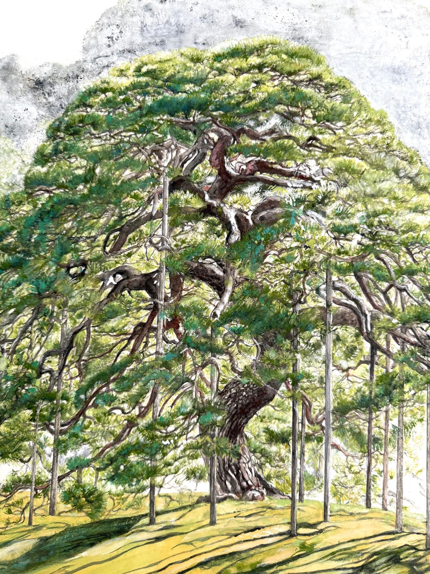 Tokyo Landscape – Hitotsumatsu III by Lumi Mizutani - Japanese painting, trees For Sale 13