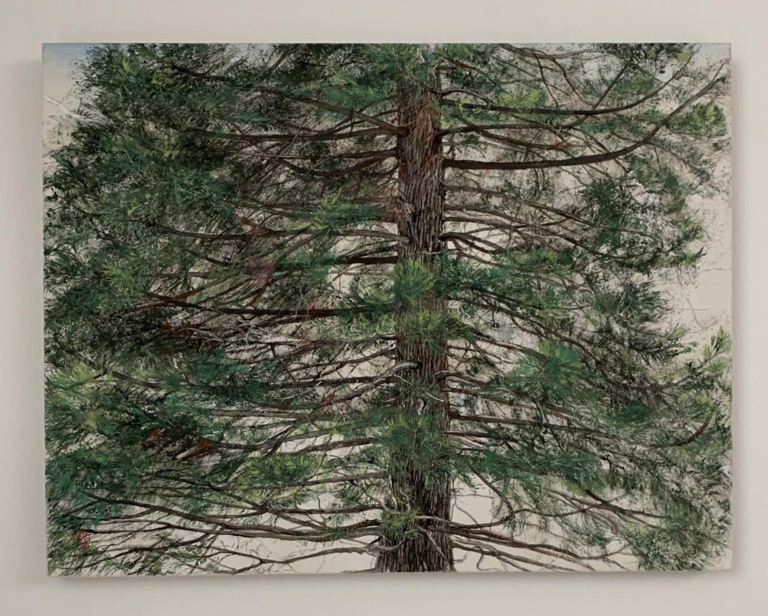 Tree of Fire – Hinoki by Lumi Mizutani - Japanese style landscape painting, pine For Sale 2