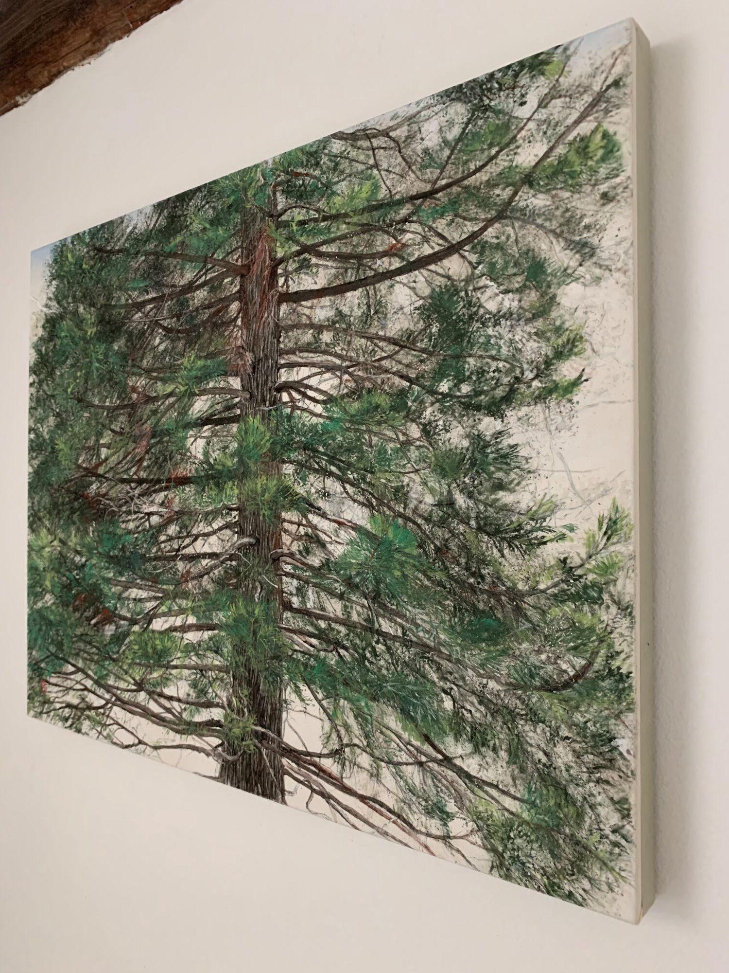 Tree of Fire – Hinoki by Lumi Mizutani - Japanese style landscape painting, pine For Sale 4