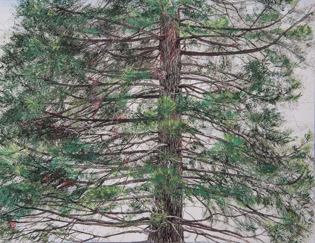 Tree of Fire – Hinoki by Lumi Mizutani - Japanese style landscape painting, pine