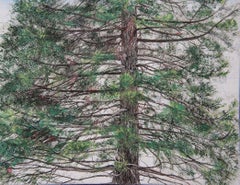 Used Tree of Fire – Hinoki by Lumi Mizutani - Japanese style landscape painting, pine