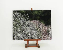 Weeping Plum Tree III by Lumi Mizutani - Japanese painting, nature, tree