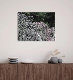Weeping Plum Tree III by Lumi Mizutani - Japanese painting, nature, tree