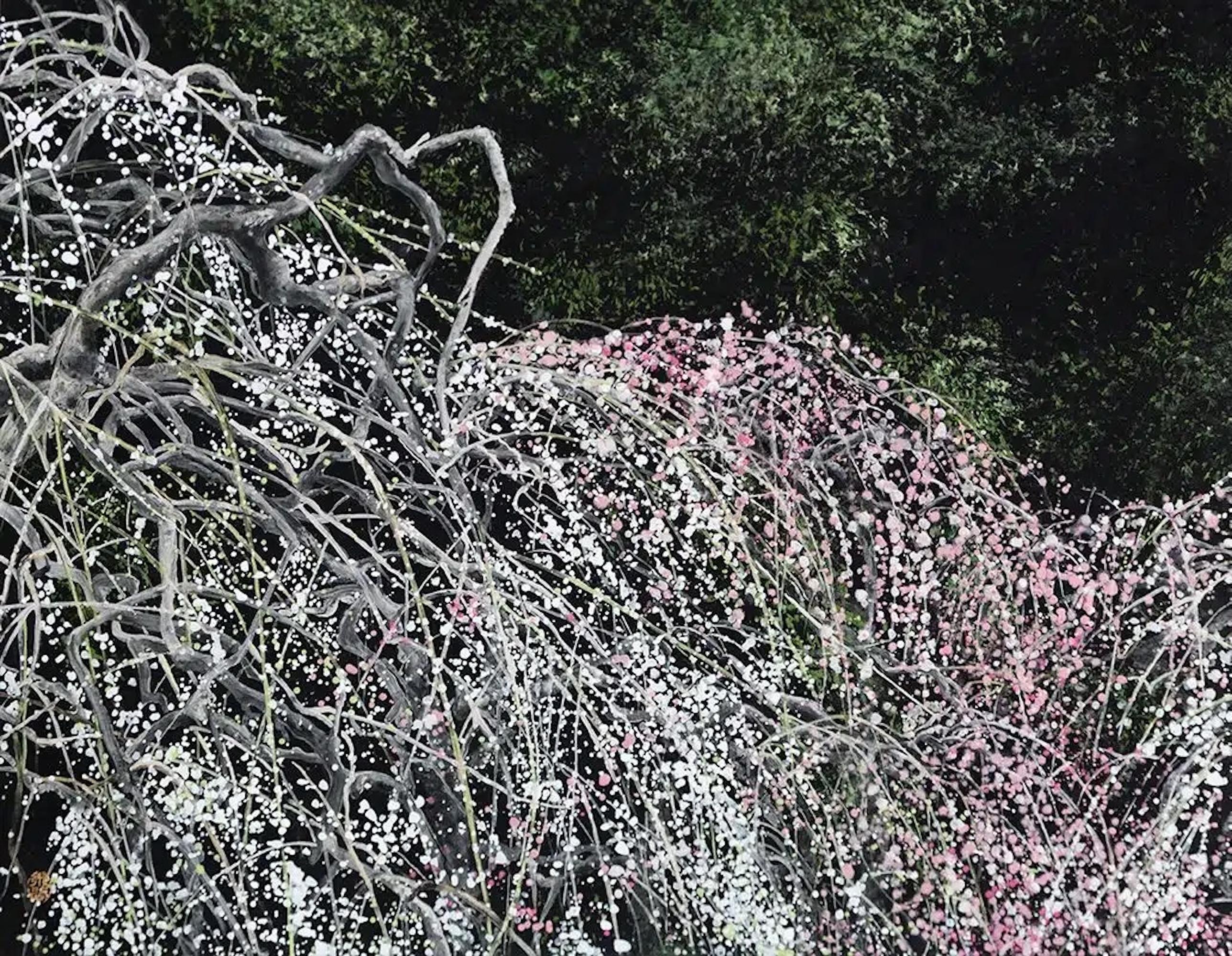 Horizontal Landscape Paintings