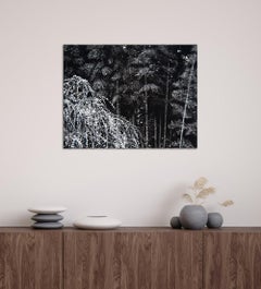 Weeping Plum Tree IV by Lumi Mizutani - Japanese style landscape painting