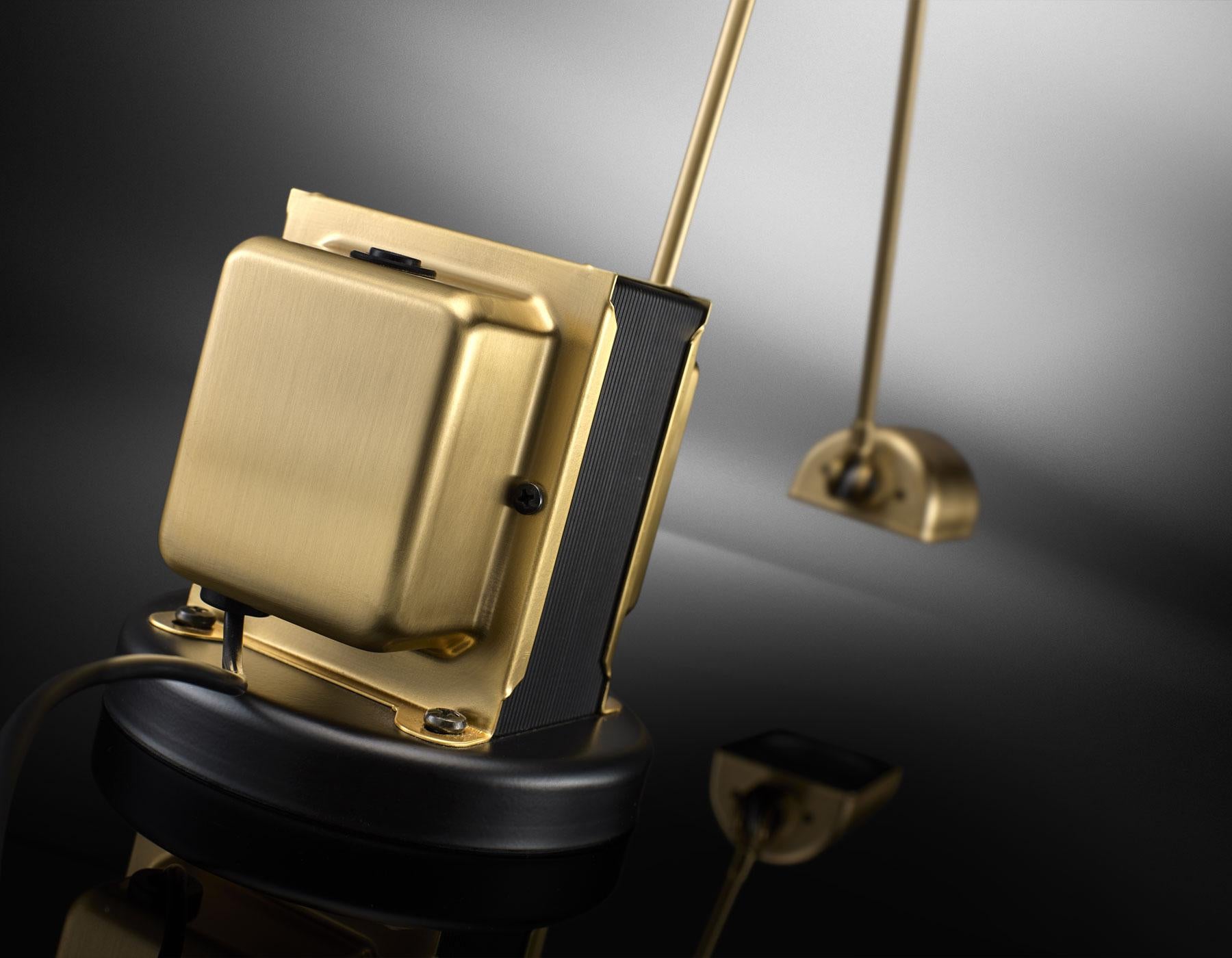 Lumina Stehlampe, gebürstetes Gold, Daphin, LED  Tommaso Cimini – Tommaso (21. Jahrhundert und zeitgenössisch) im Angebot