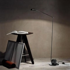 Lumina Daphine Terra LED Floor Lamp in Brushed Nickel by Tommaso Cimini