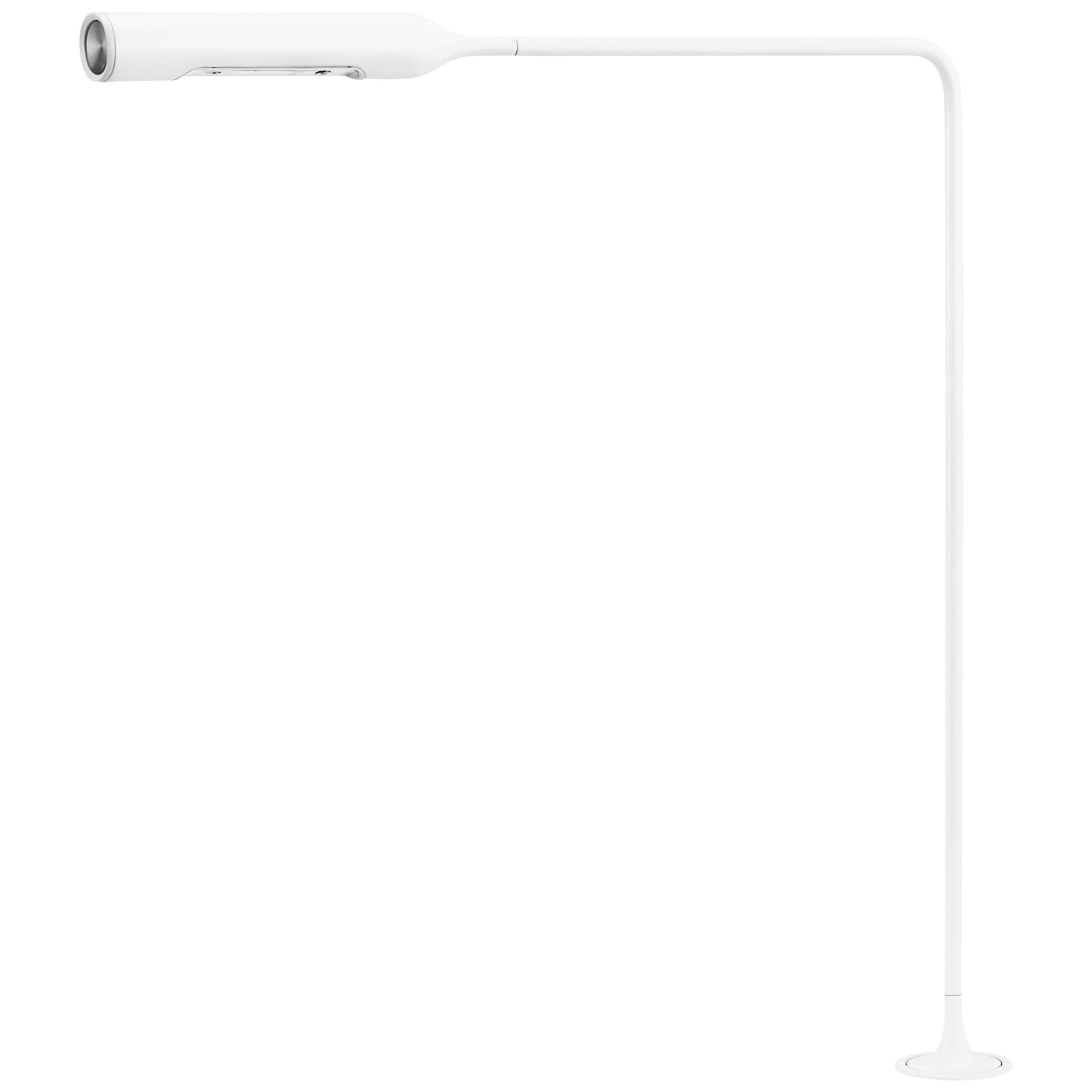 Lampe de bureau Lumina Flo avec œillet F46 en blanc mat par Foster+Partners