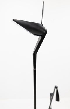 Lumina Floor Lamp Walter Monici Italy Model "Zelig Terra"