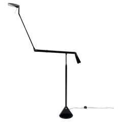 Lumina Floor Lamp Walter Monici Italy Model "Zelig Terra"