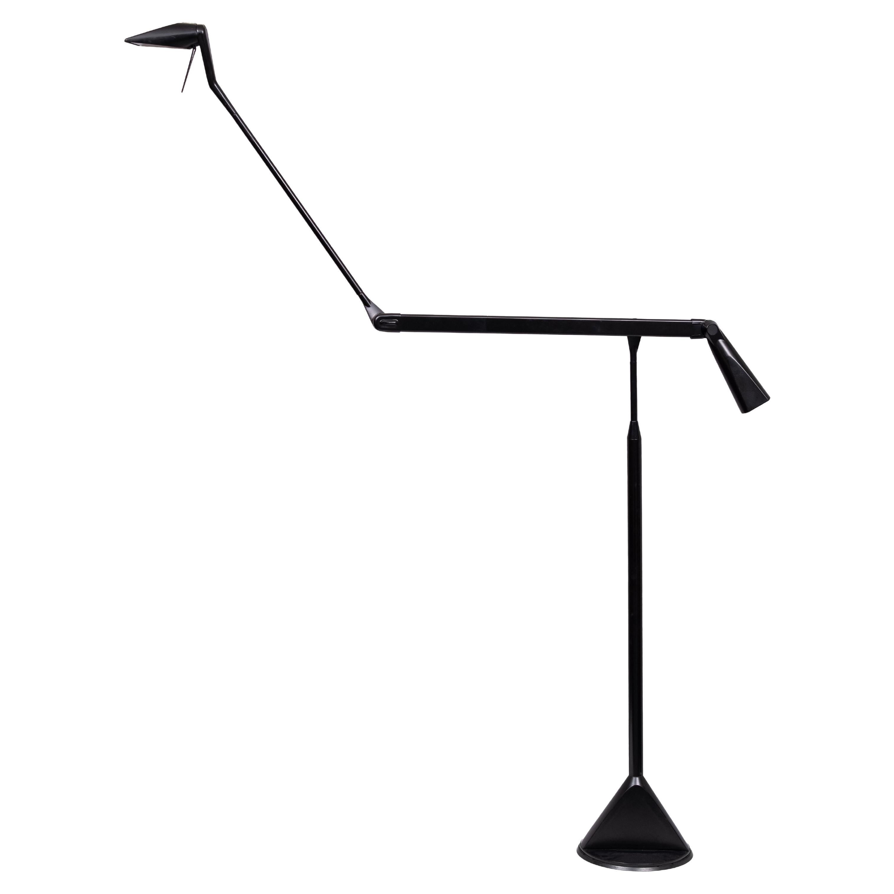 Lumina Floor Lamp Walter Monici Italy Model "Zelig Terra"