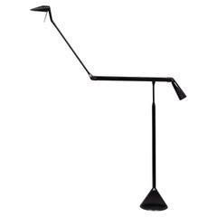 Lumina Floor Lamp Walter Monici Italy Model "Zelig Terra"