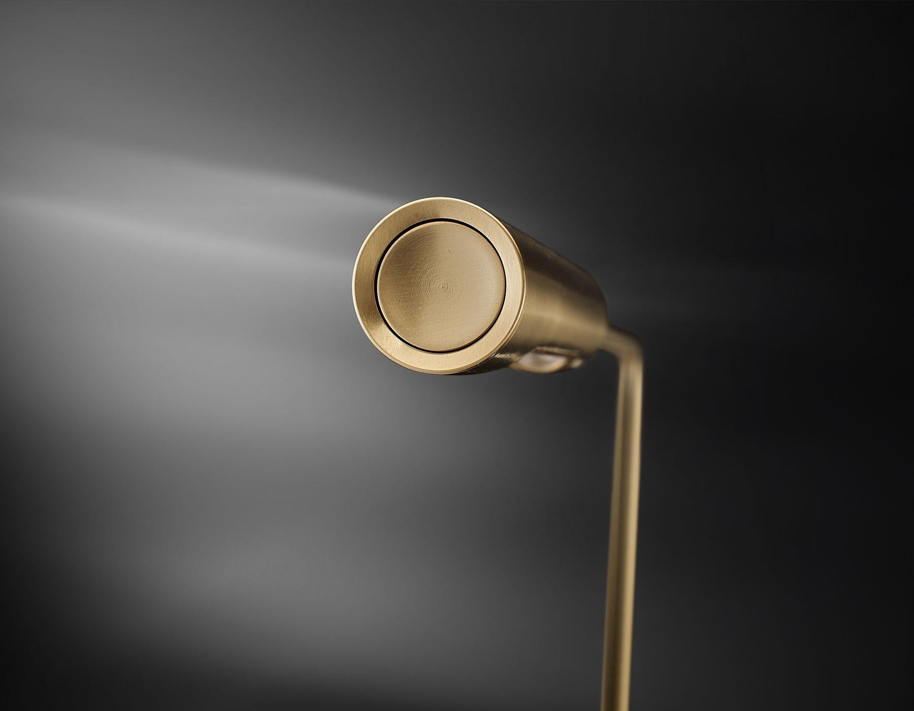 Lumina Gold gebürstet Flo Schreibtischlampe  von Foster+Partners im Angebot 4