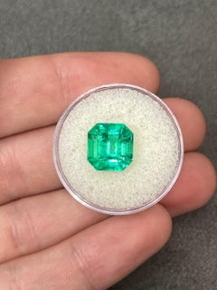 Luminous 4.75 Carat 10x10 Asscher Cut Muzo Green Colombian Emerald