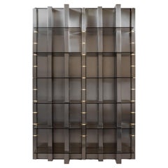 Vintage Luminous Bookcase by Yonel Lebovici, 1972