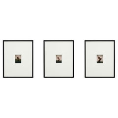 Perspectives lumineuses : collection 'Sit Z' de David Urbano - ensemble en édition limitée