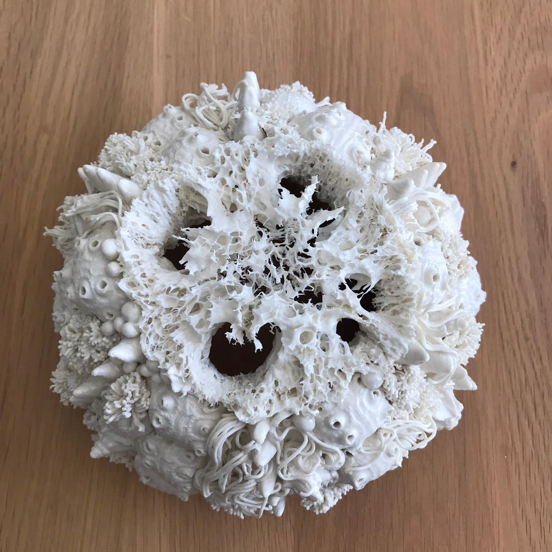 This porcelain sculpture is inspired by the fascinating and magical universe of the Abyss. An unknown and mysterious world in which even the richest imagination can still be surprised. The forms, often geometric and always so harmonious, offer an