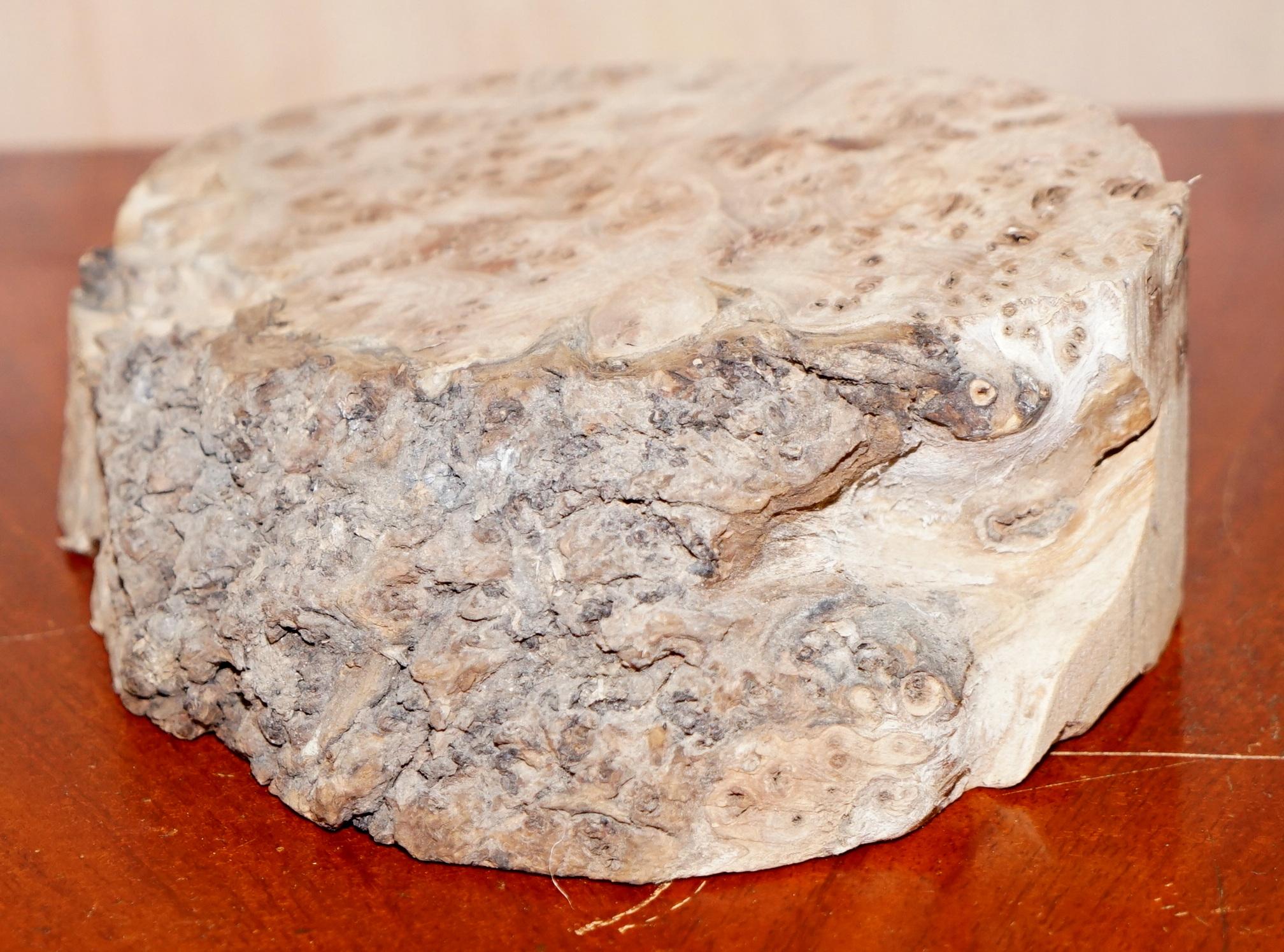Modern Lump of Recently Carved Burr Walnut Ideal for Making a Stand or Small Boards For Sale