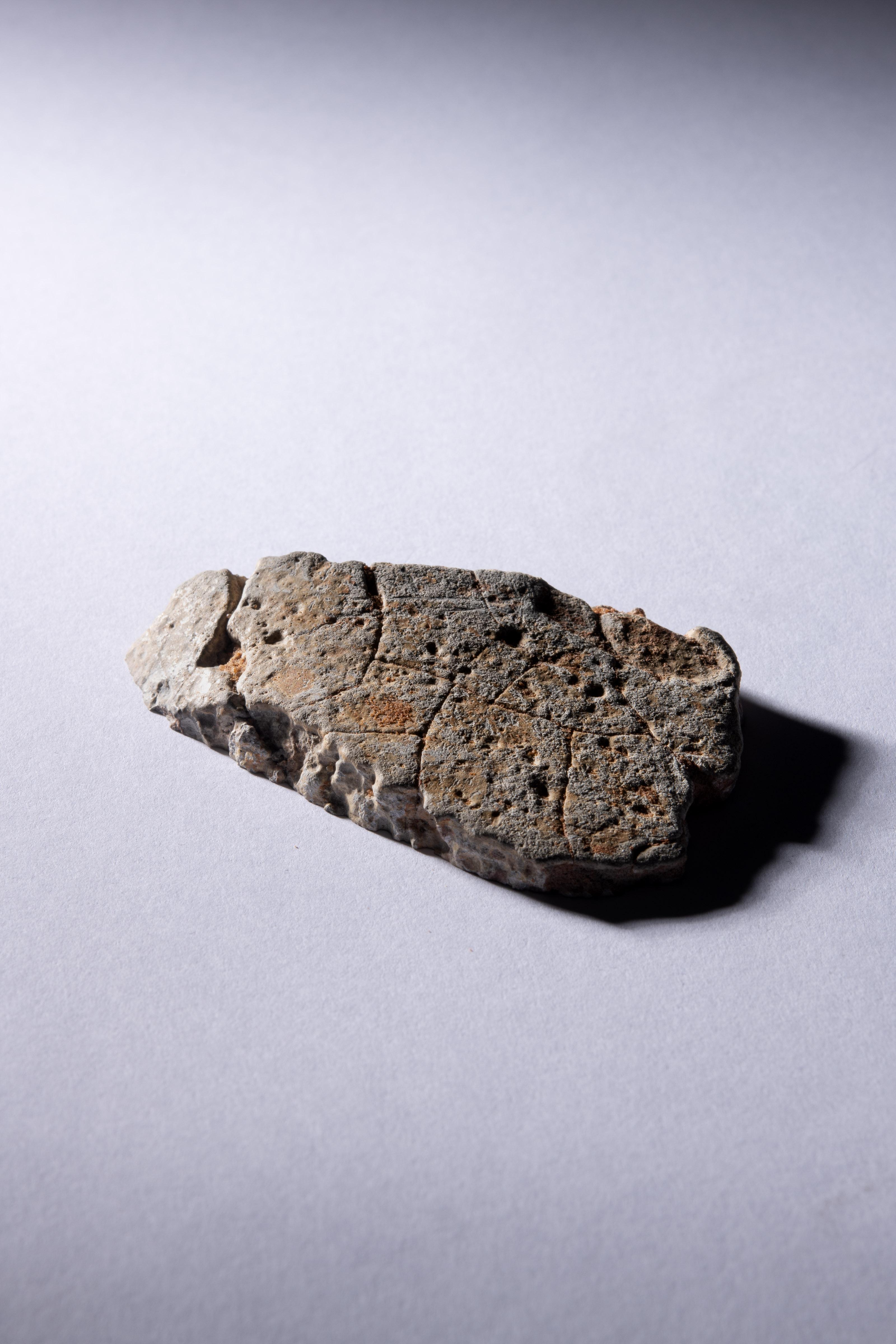 Lunar Meteorit – Ein Objekt des Mondes (Stein) im Angebot
