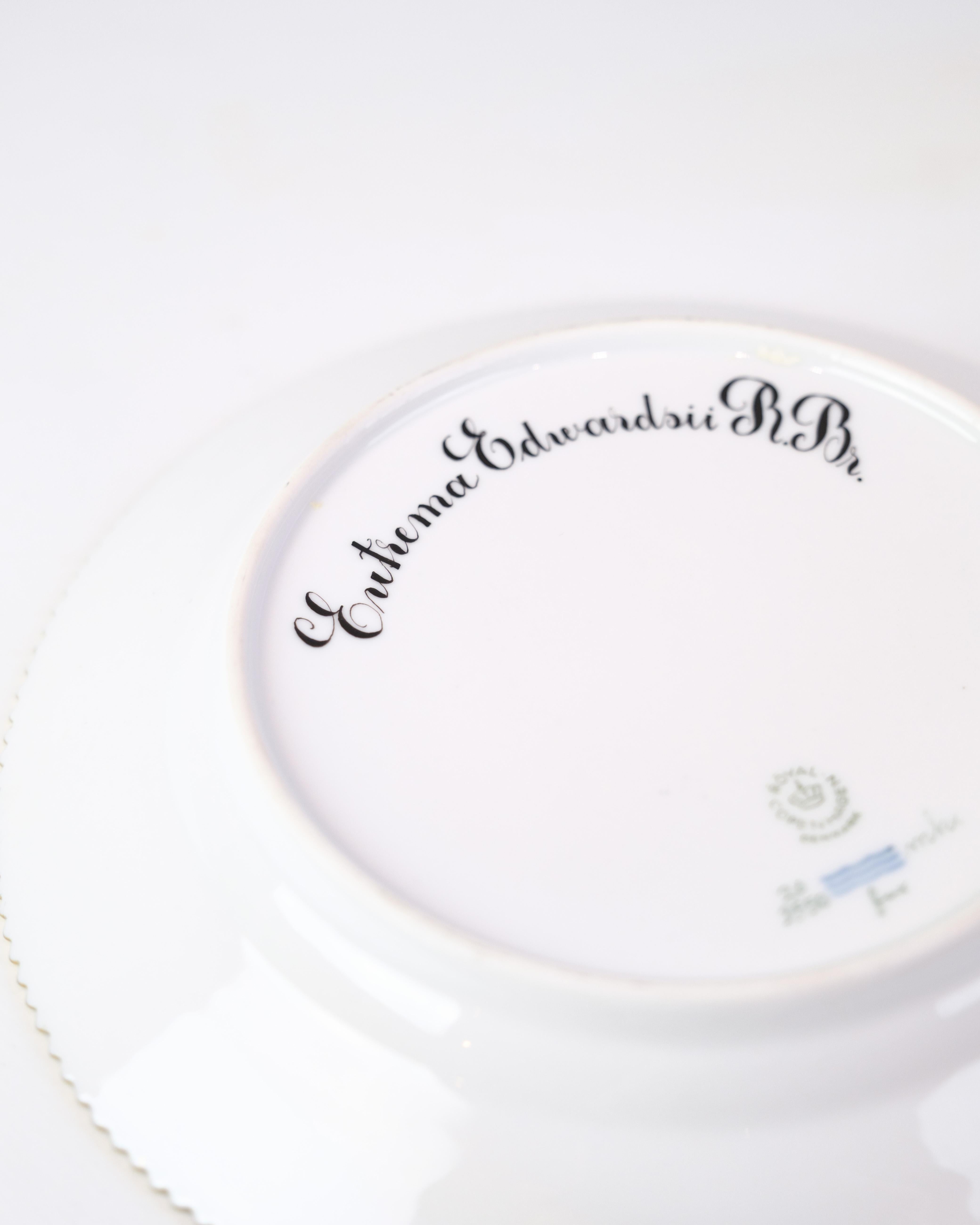 Lunch Plate Decoration No. 20/3550 Flora Danica By Royal Copenhagen From 1960s For Sale 1