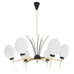 Lunel Gorgeous French Midcentury Chandelier, 1950s