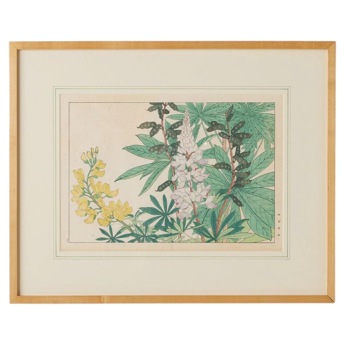 Lupine Woodblock Print by Tanigami Kōnan For Sale