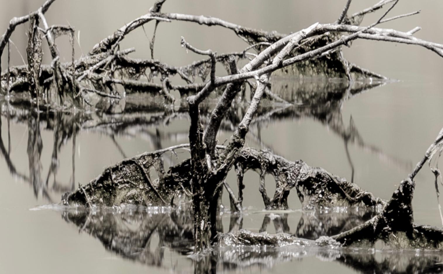 Teil der Kollektion The Shape of Water des spanischen Fotografen Cuco de Frutos. Anhand dieser Originalfotografie lässt uns der Künstler erkennen, wie das Alltägliche zum Außergewöhnlichen wird. Hier liegt die Silhouette von Danaë, der
