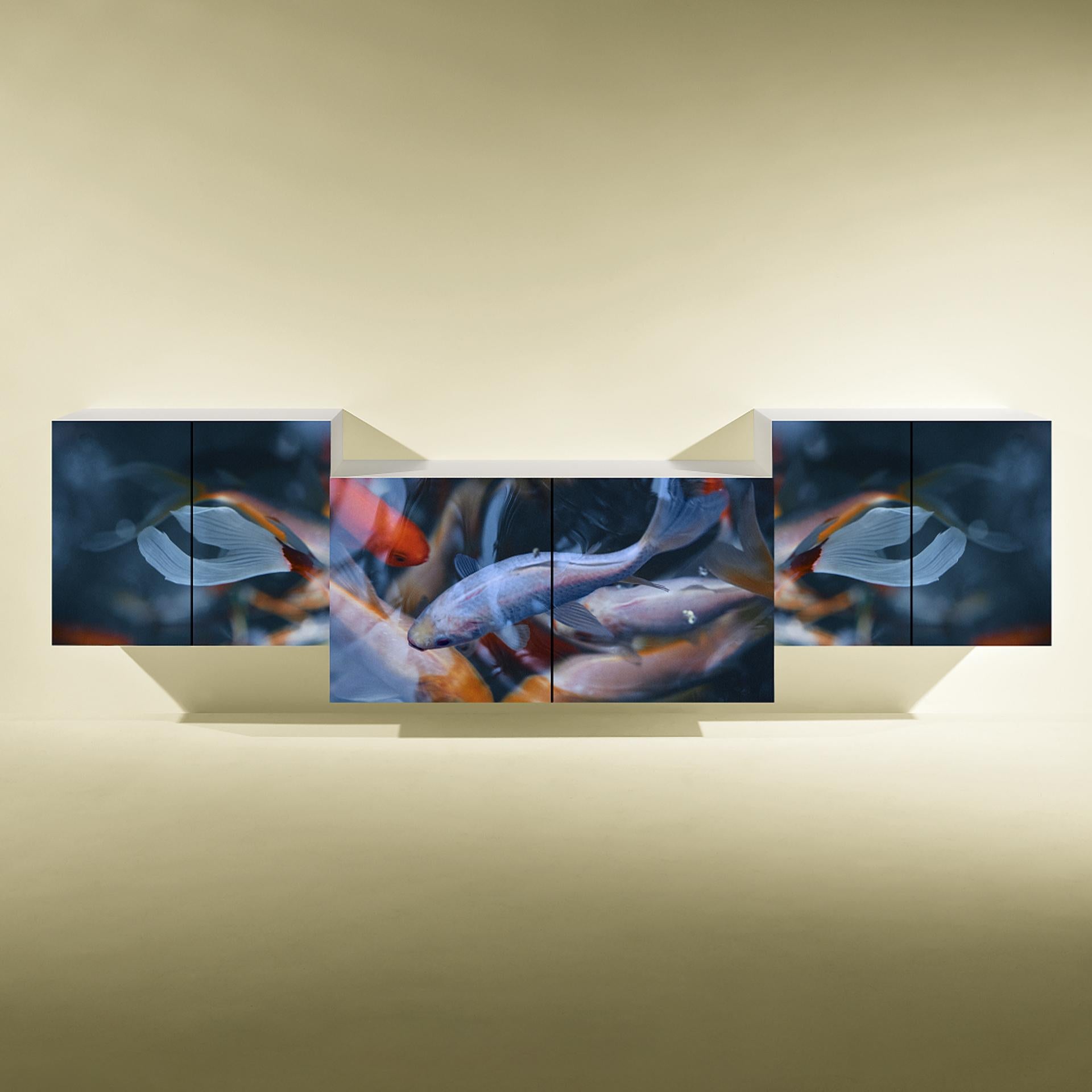 Sideboard in lacquer with Photo printed in aluminium 

Bespoke / Customizable
Identical shapes with different sizes and finishings.
All RAL colors available. (Mate / Half Gloss / Gloss)