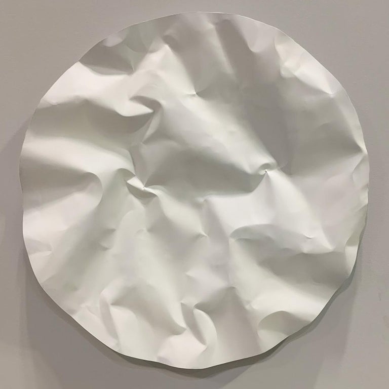 Luster Medallion, HandFormed Aluminum For Sale at 1stDibs aluminium