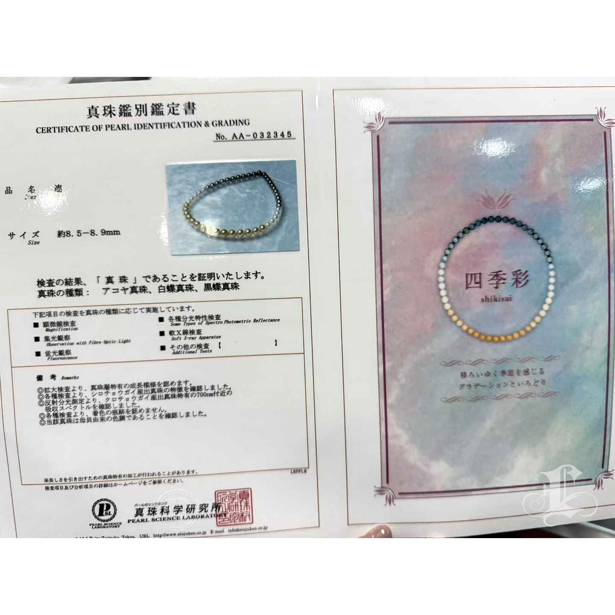 【Lustre Arc】PSL Certified Shikisai Aurora Symphony Ombre Necklace en vente 5