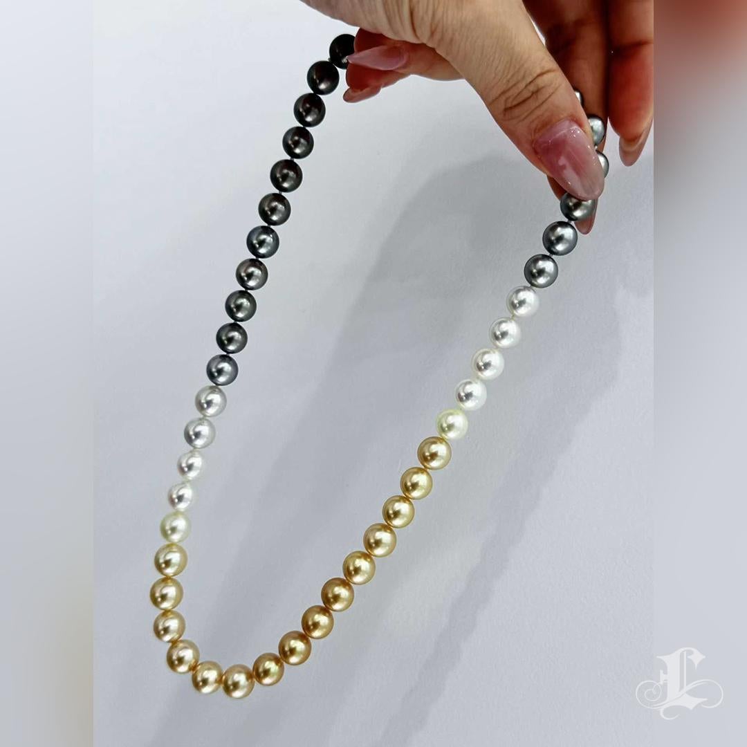 【Lustre Arc】PSL Certified Shikisai Aurora Symphony Ombre Necklace For Sale 4