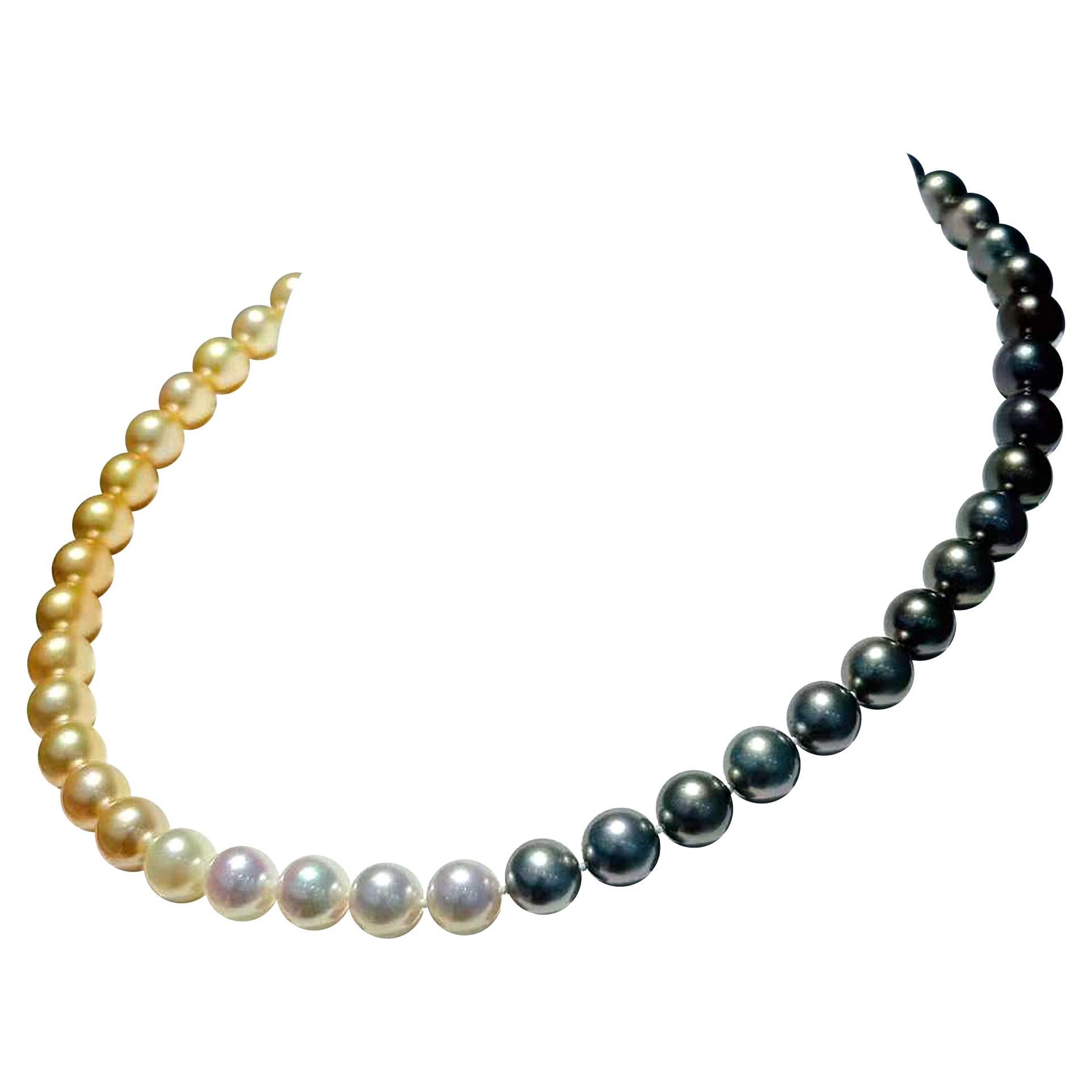 【Lustre Arc】PSL Certified Shikisai Aurora Symphony Ombre Necklace en vente