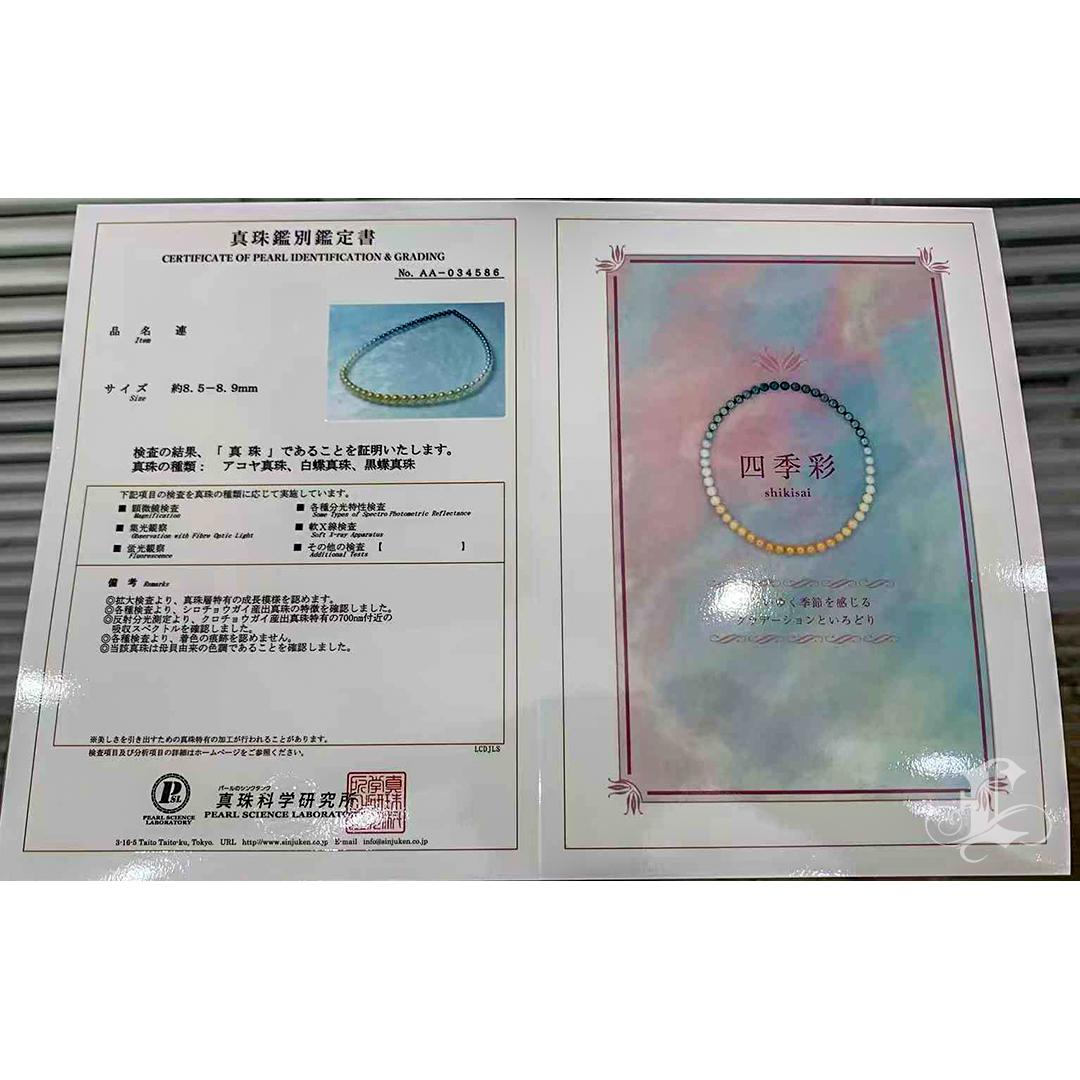 【Lustre Arc】PSL Certified Shikisai Celestial Horizon Ombre Halskette 4