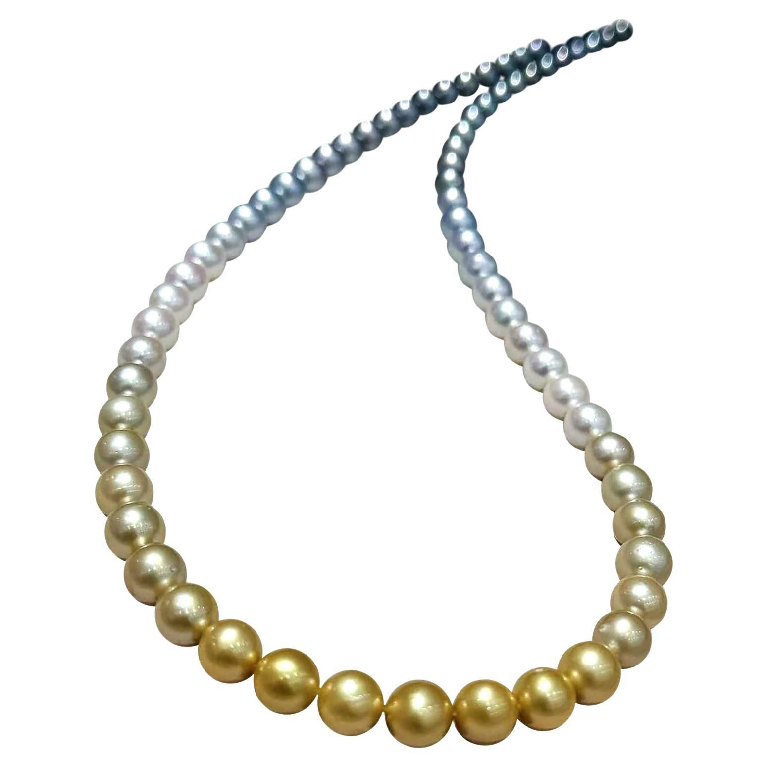 Collana Shikisai Celestial Horizon Ombre】PSL certificata