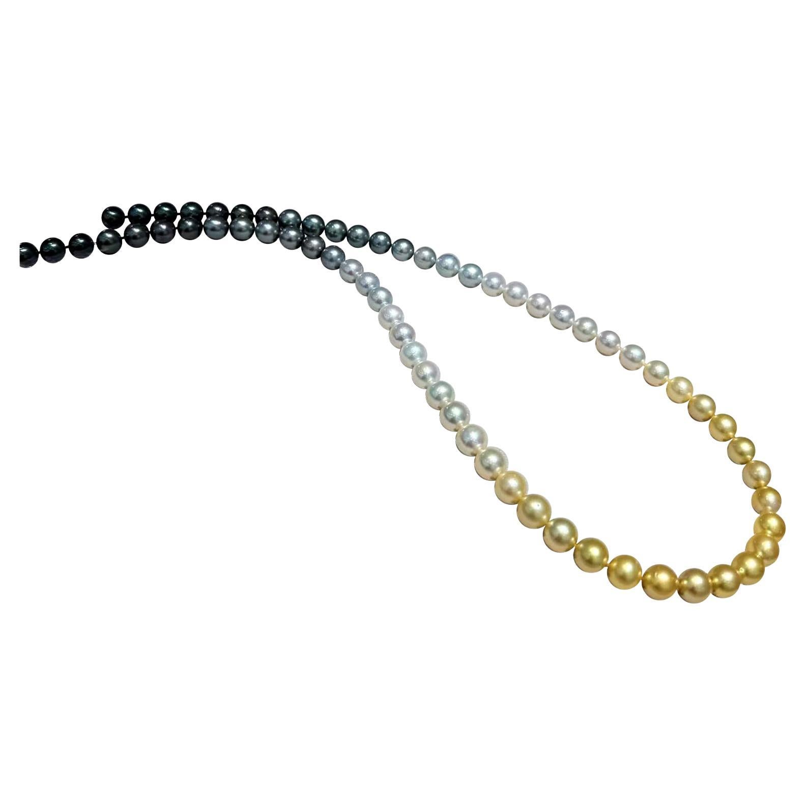 Arco di lucentezza】 Collana Shikisai Eternal Horizon Ombre certificata PSL