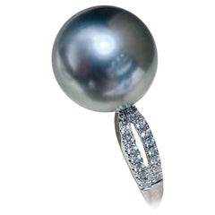 【Lustre Arc】Split-Shank Aurora Tahitian Pearl Statement Ring